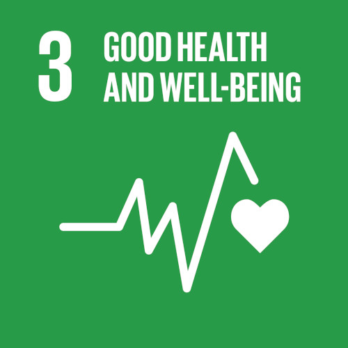 Sustainibility Index 3: health and wellbeing